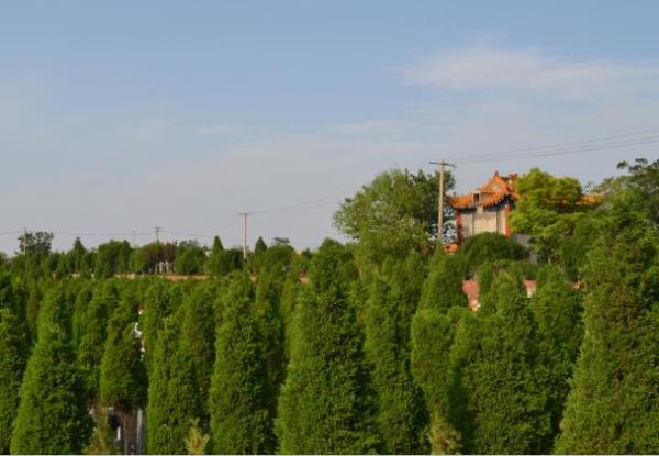 落葬時，要注意的六大原則